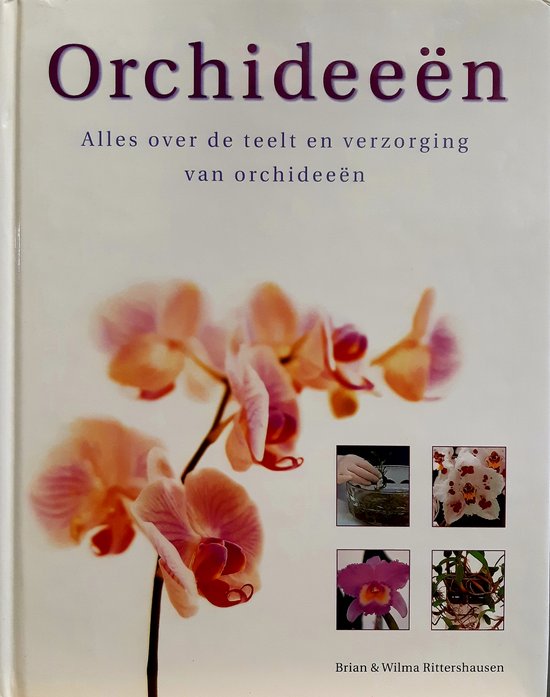 Orchideeen