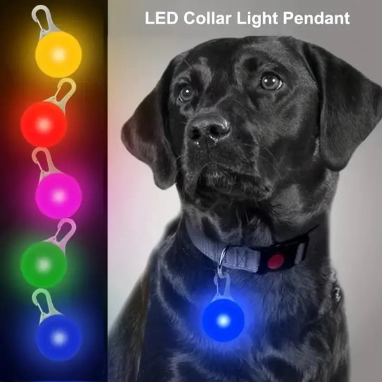 Foto: Veiligheidslamp voor hond i led honden cadellight i dierenlampje i lampje hondenhalsband i blauw