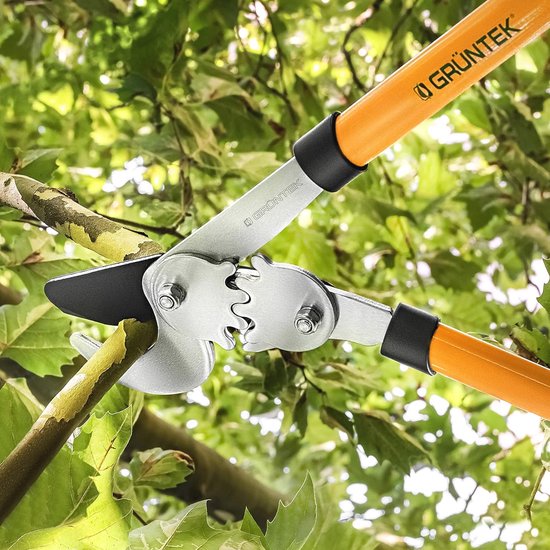 Boomschaar met GEAR-DRIVE snijsysteem - 780 mm, scherpe Bypass takkenschaar voor vers en droog hout van Fiskars — afbeelding 4