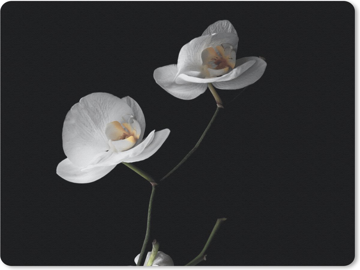 Muismat 23x19 cm - Mousepad Orchidee - Bloemen - Zwart - Wit - Stilleven - Muismatten