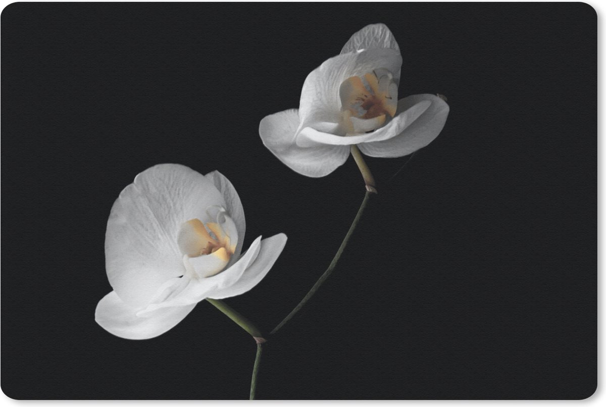 Muismat 27x18 cm - Mousepad Orchidee - Bloemen - Zwart - Wit - Stilleven - Muismatten