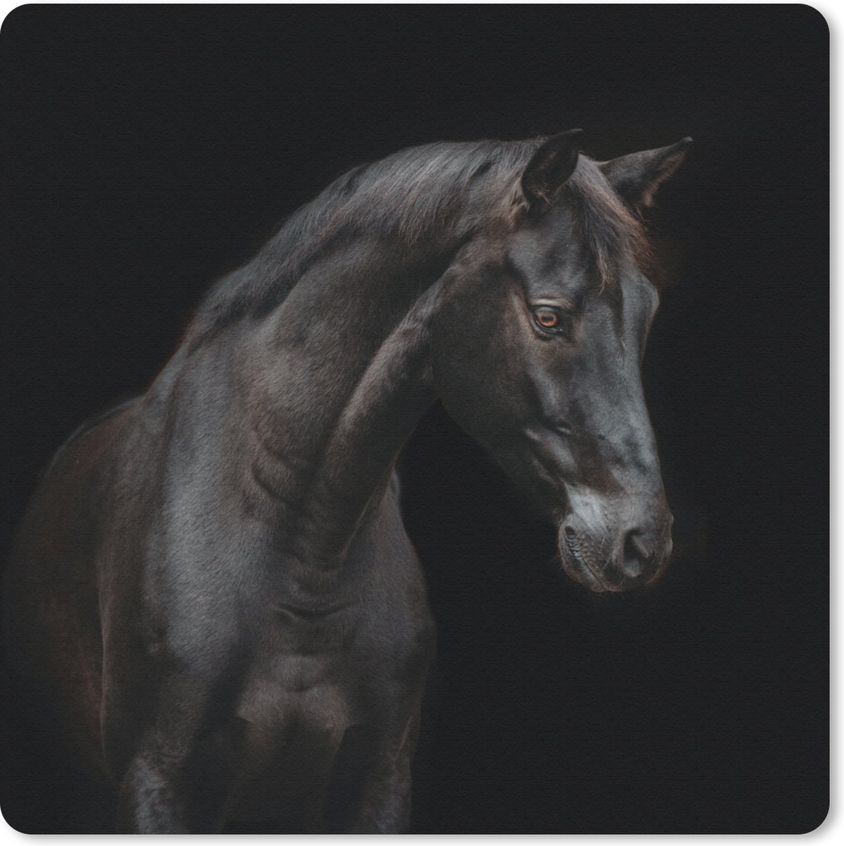 Muismat 30x30 cm - Mousepad Paard - Dier - Zwart - Muismatten