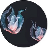 Muismat - Mousepad - Rond - Kwallen - Zeedieren - Zwart - 50x50 cm - Ronde muismat