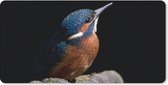 Bureau onderlegger - Muismat - Bureau mat - IJsvogel - Tak - Veren - Zwart - 80x40 cm