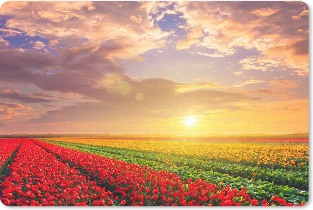 Muismat Landschappen Nederland - Tulpenveld met zonsondergang muismat rubber - 27x18 cm - Muismat met foto