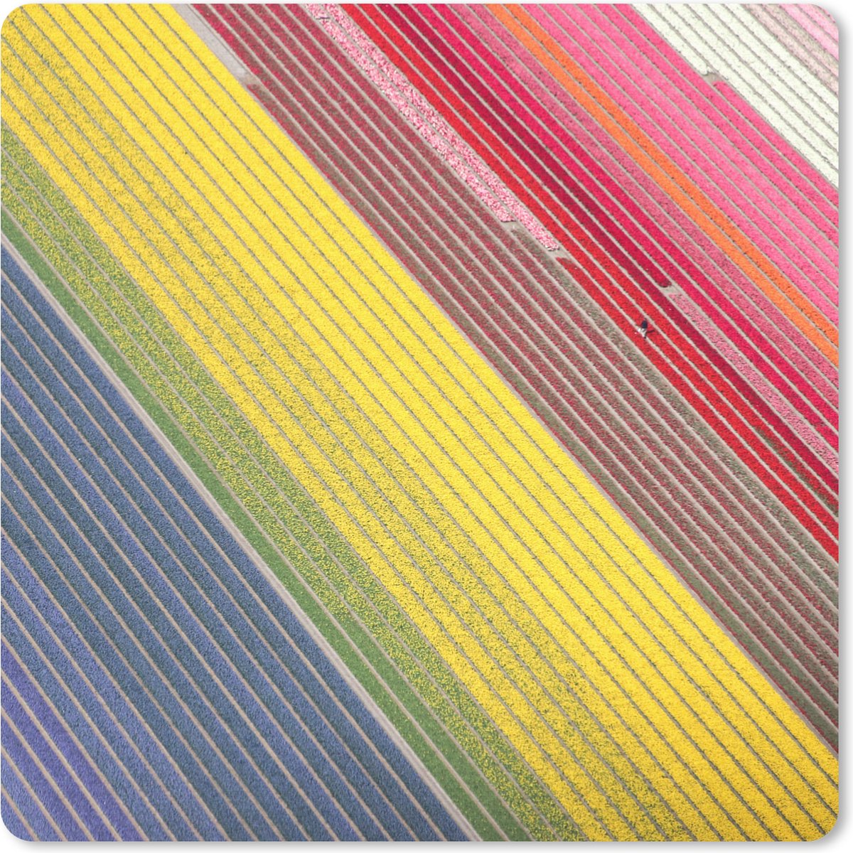 Muismat 30x30 cm - Mousepad Kleurrijke afbeelding van bloemen in Nederland - Muismatten
