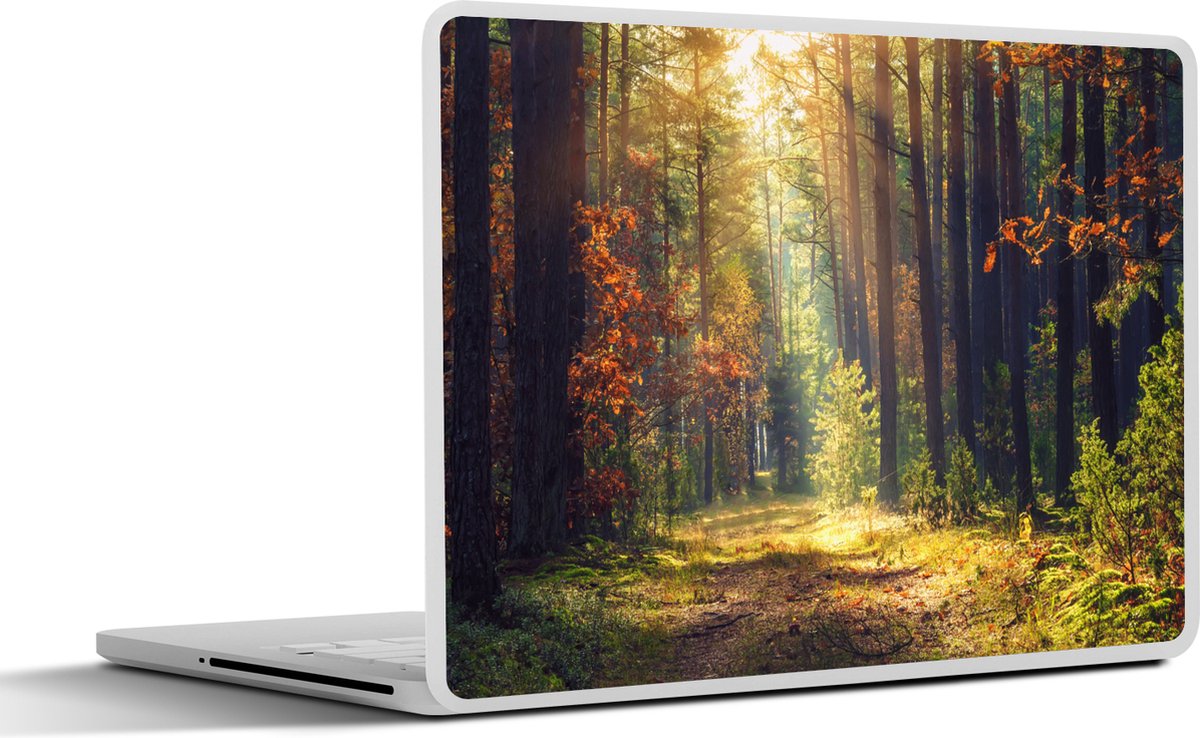 Laptop sticker - 17.3 inch - Bos - Herst - Bomen - 40x30cm - Laptopstickers - Laptop skin - Cover