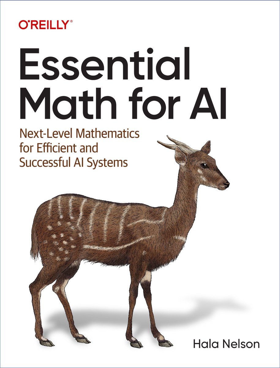 Omslag van Essential Math for AI