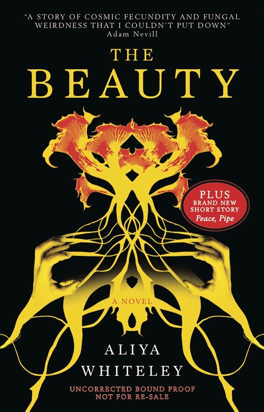 The Beauty