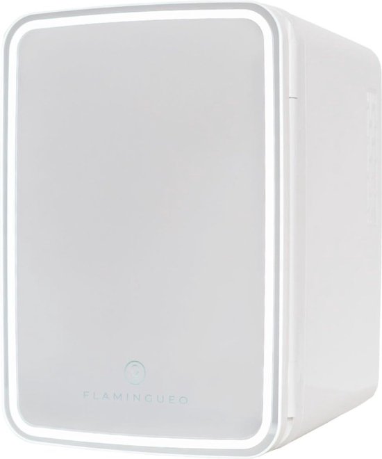 Flamingueo Mini Frigo 10L - Mini Frigo de Chambre,12V/220V, Fonction