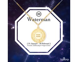 Bixorp Stars Sterrenbeeld Ketting Waterman / Aquarius - Stainless Steel Medailon met Goud Verguld - 45cm Ketting met Zodiac Hanger - Inclusief Cadeau Verpakking