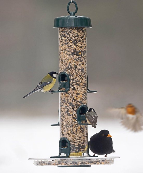 Hangende Vogelvoeder Voor Kleine Vogels Wilde Vogels En Tuinvogels hangende-vogelvoeder-voor-kleine-vogels-wilde-vogels-en-tuinvogels