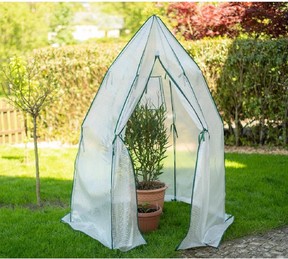 Westmann Olive plant overwintering tent - 160 x 160 cm