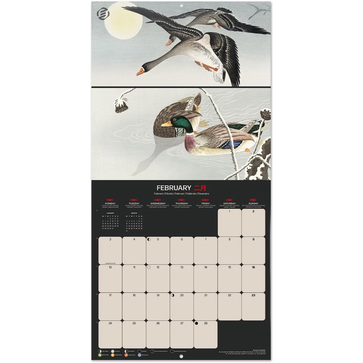 Equivera Jaarkalender 2025 - Maandkalender - Jaar Kalender - Jaarkalender - Jaarplanner - Kalender 2025