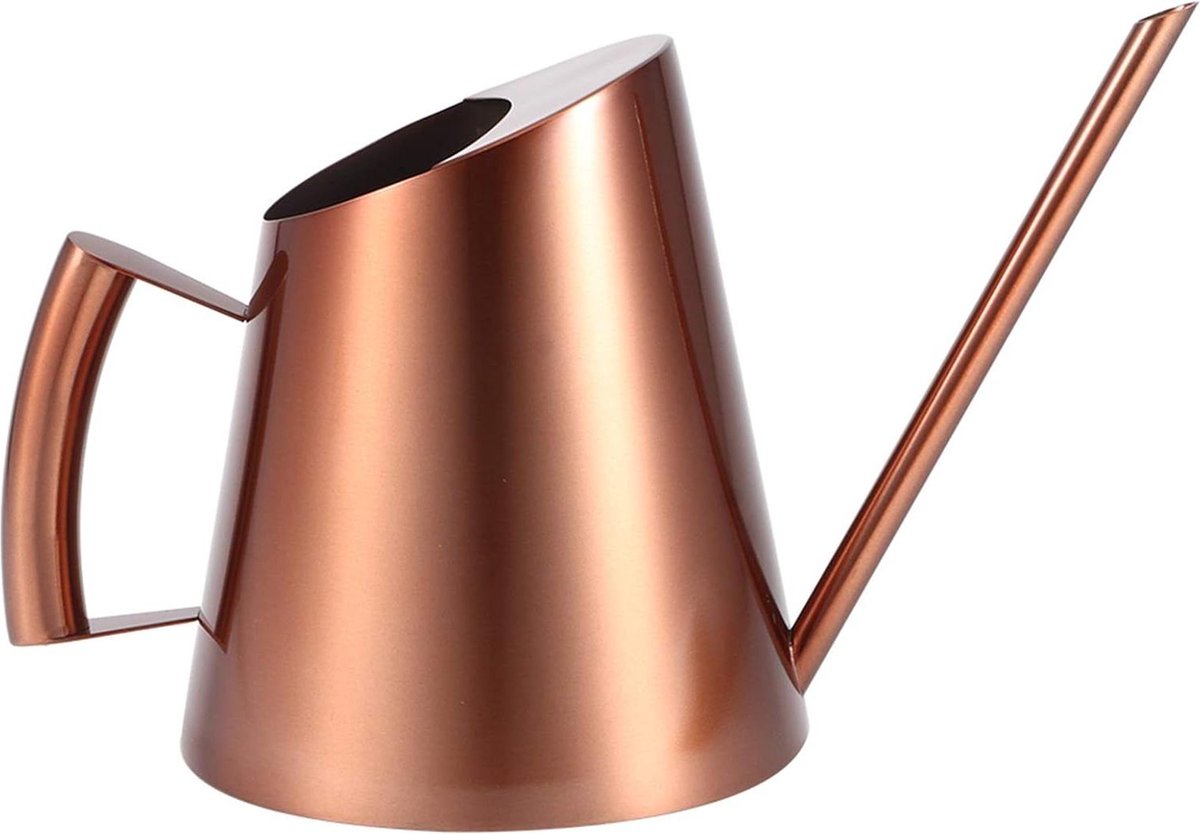Small Metal Flower Watering Can - Long Spout Stainless Steel - Handle for Indoor and Outdoor Plants Watering