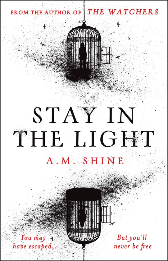Stay in the Light - cover