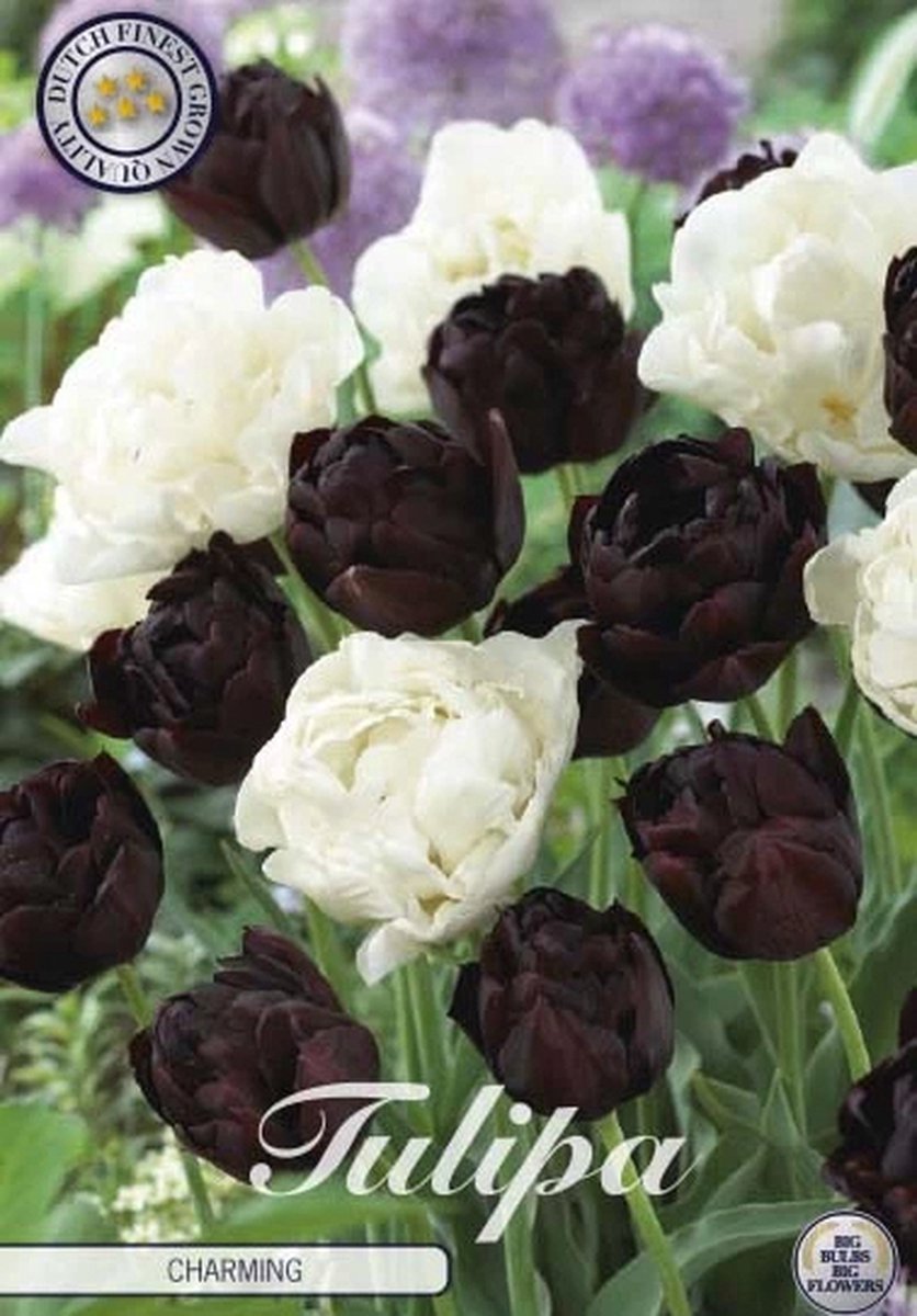Charming Garden Tulpenbollen 10 stuks bolmaat 12+