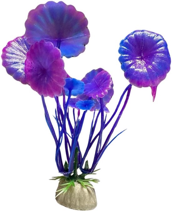 Foto: Nep aquariumplant met paars roze blaadjes 10 cm plantje op steen plastic aqaurium terrarium decoratie