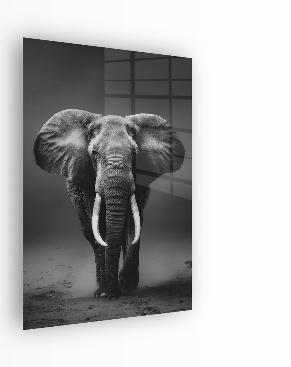 Indoorart Glasschilderij Majestueuze Olifant 40x60 CM - Afbeelding op plexiglas - Inclusief montagemateriaal zwart, wit