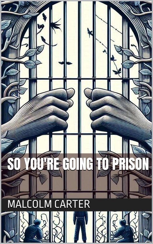 So You're Going to Prison - cover