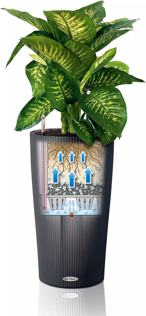 Lechuza Cilindro Color 23 - Planter - with removable inner pot