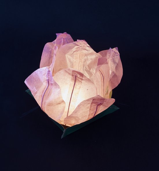 Foto: 10 x rose drijflantaarns drijfbloemen water lampion bloem vorm waterlelie lotusbloem voor vijver of zwembad