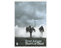 Omslag van Storm of Steel