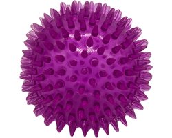 Interactieve Spikey Bal - Piepend Hondenspeelgoed - Kauw- & Apporteerbal