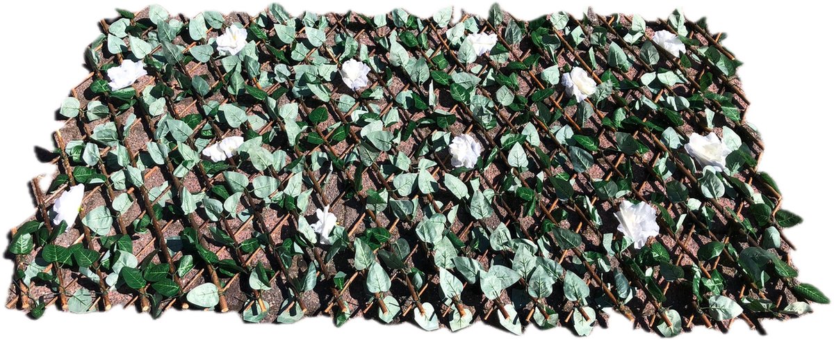 Decoways - Trellissen 5 stuks met kunstbladeren 180x60 cm wilgenhout