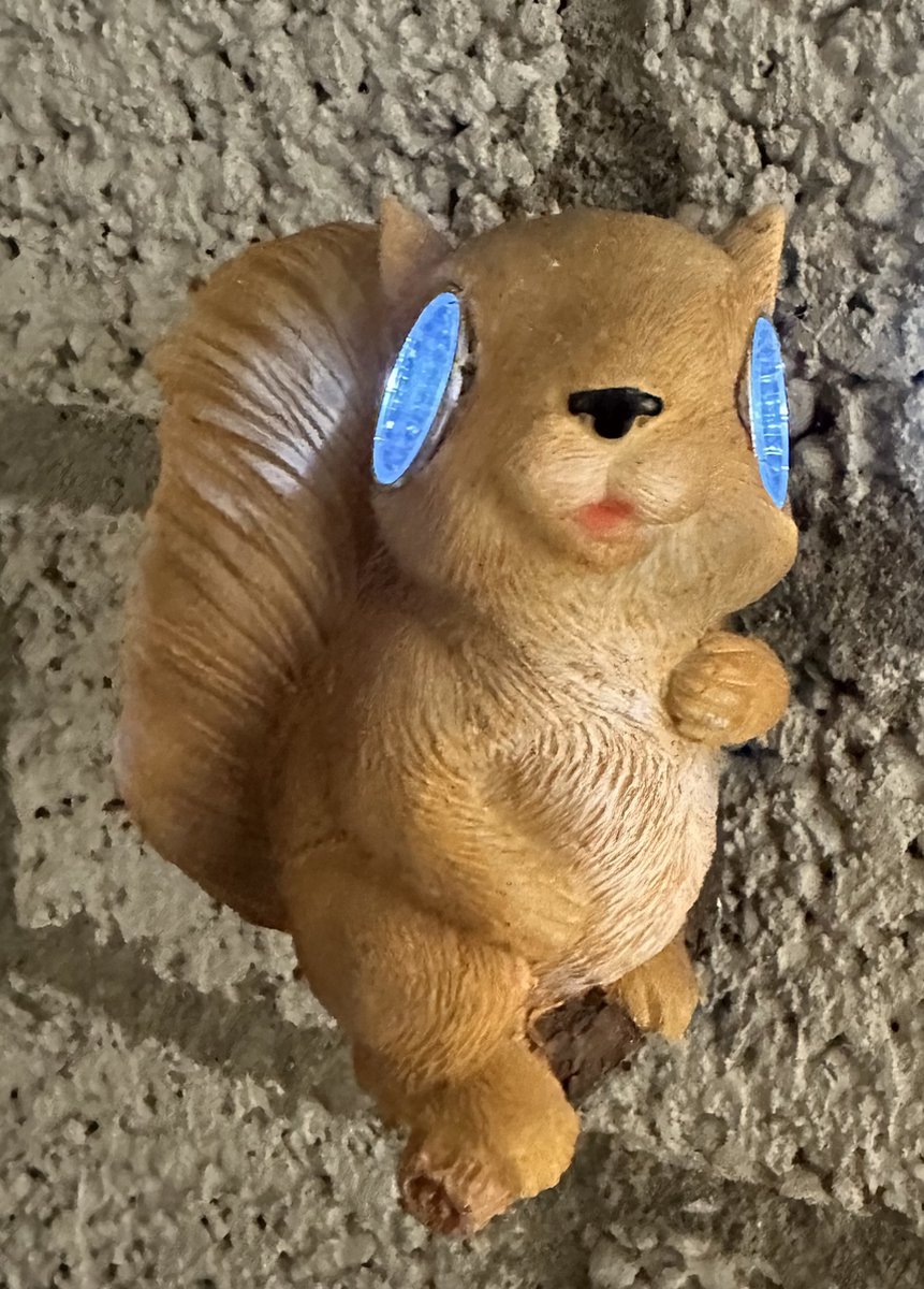 Impuls Polyresin wand solarlamp Eekhoorn op boomstam meerkleurig + bruin met 2 LEDs Wand model hoogte 12 x 8 x 9 cm Tuindecoratie Tuinverlichting