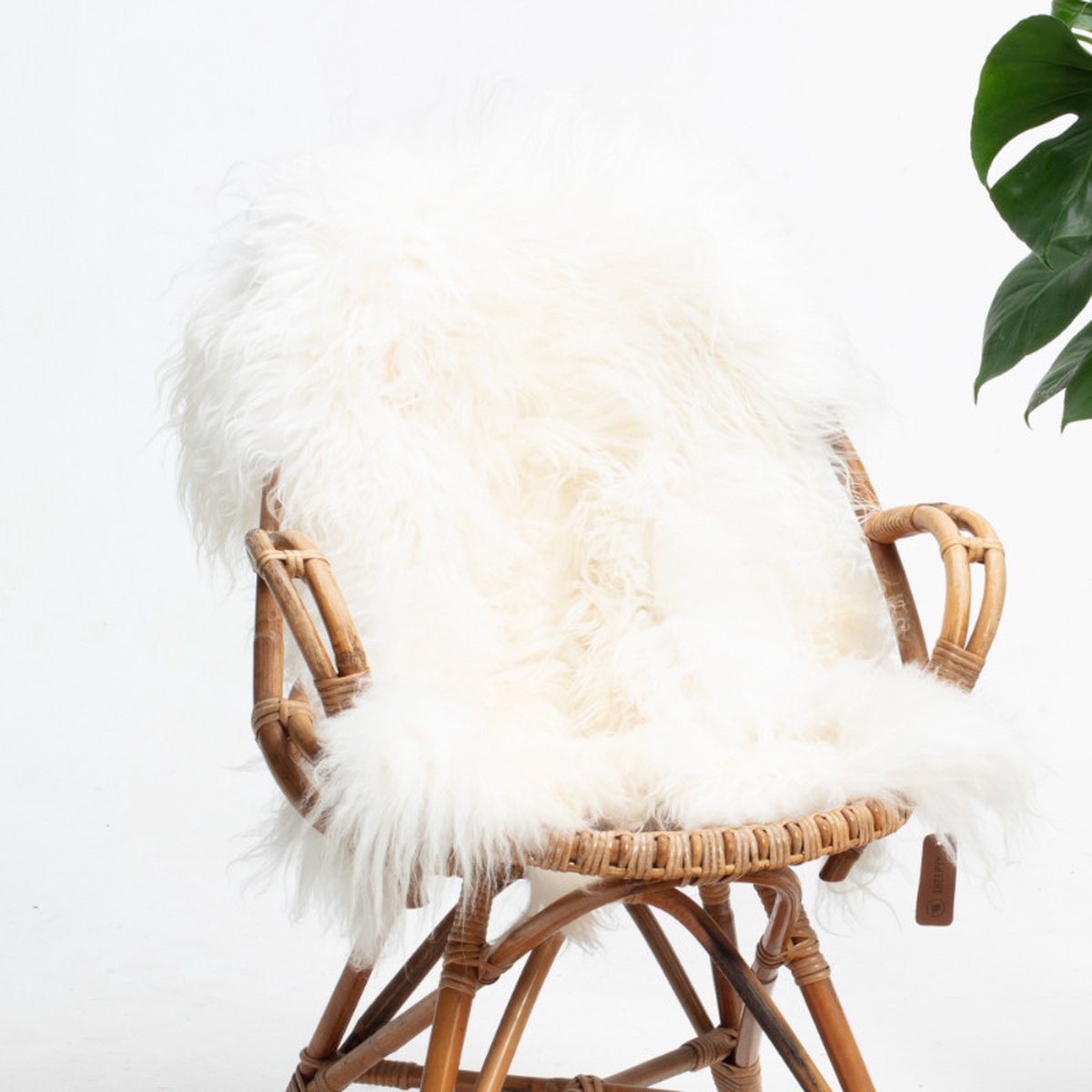 SHEEPY® | Schapenvacht | Ása (Wit) XL (110-115cm) - Sheepy.cc