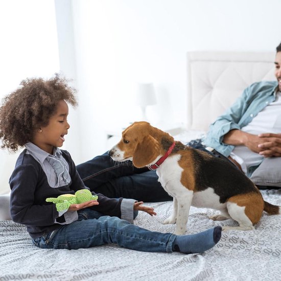 Jouets pour chiens- Jouets pour Chiens , jouets à mâcher, animaux en peluche interactifs grinçants, speelgoed en peluche en forme de grenouille, petits et moyens chiens