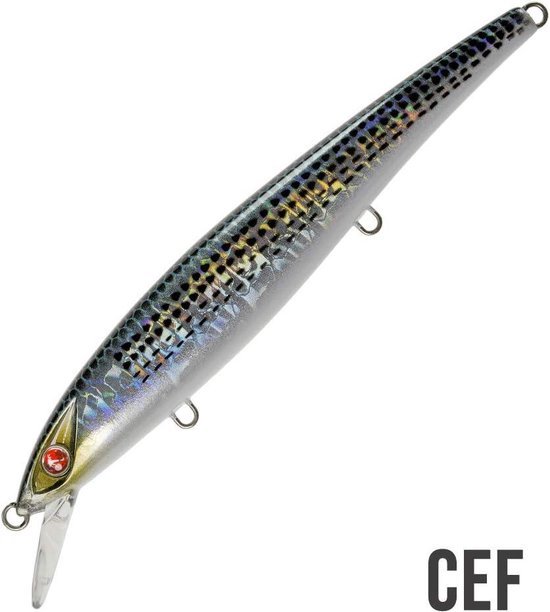 Saltwater Spinning R apala da pesca per spigola Barracuda Serra