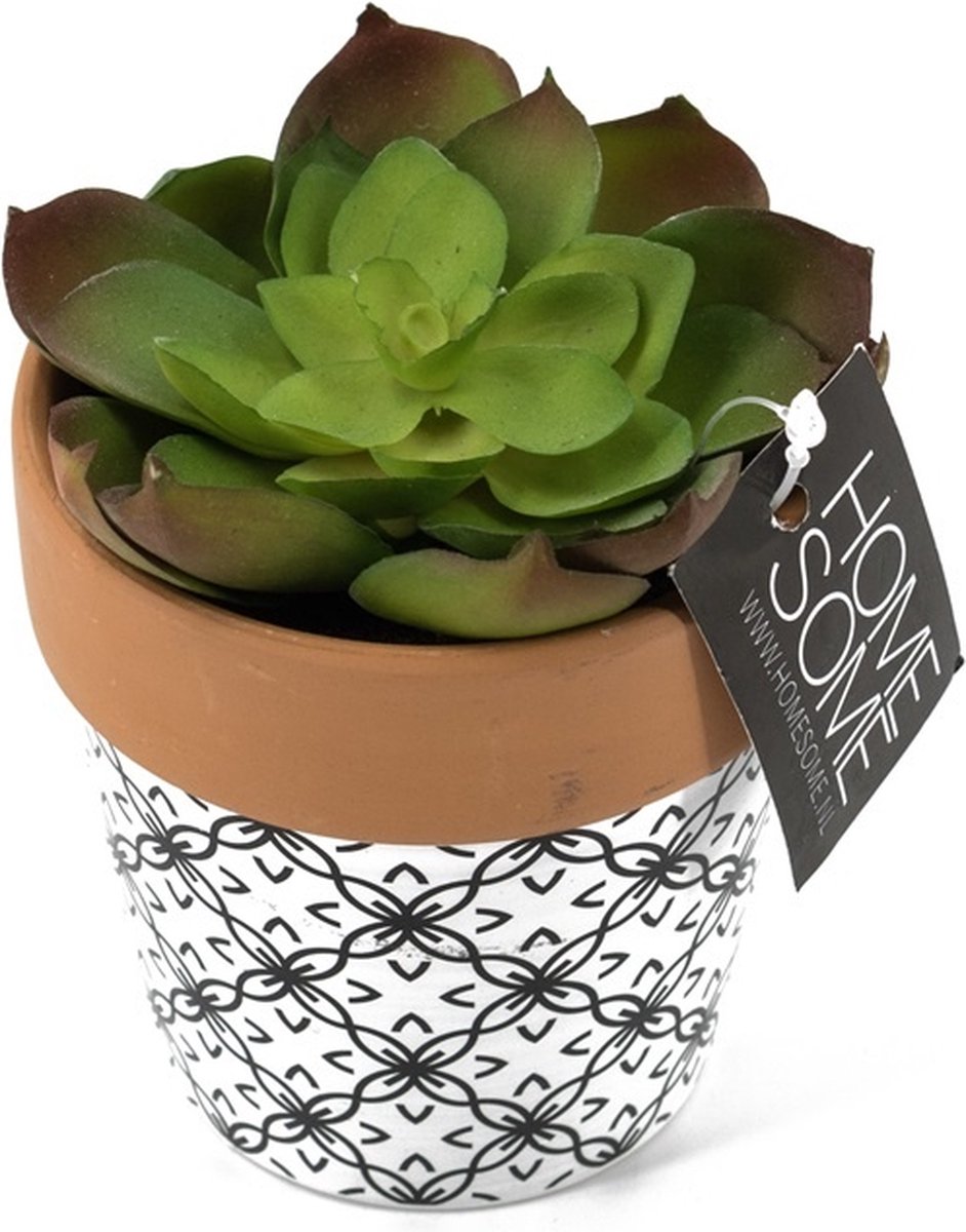Vetplant