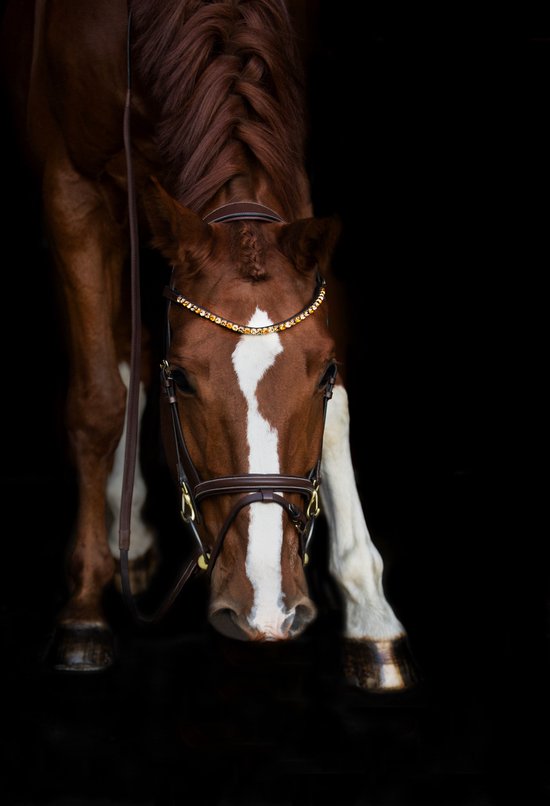 Frontal Droit + Strass