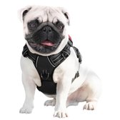 JAXY Harnais pour chien - Harnais pour chien - Harnais pour petit chien - Harnais en Y pour chien - Harnais pour chien - Harnais anti- Trek pour chien - Réfléchissant - Taille S - Zwart
