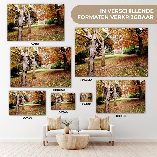 Tableau sur toile Automne - Arbres - Feuilles - nature - 140x90 cm - Décoration murale