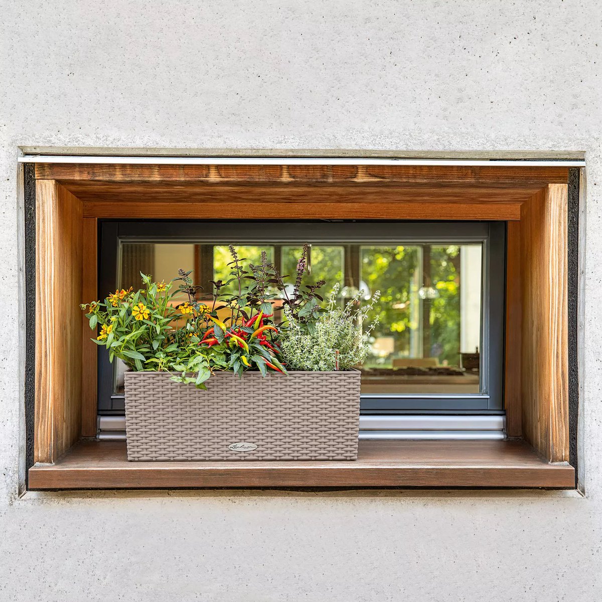 Lechuza Balconera Cottage 50 - Planter - with removable inner pot