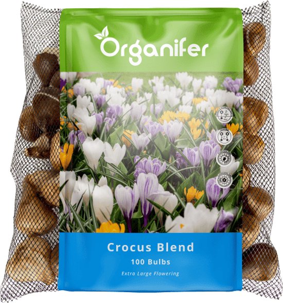 Verpakking met 100 krokusbollen 'Crocus Blend'. De verpakking toont een afbeelding van gekleurde krokussen.