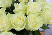 White Naomi - Witte rozen - 24 stuks - 70 centimeter - vers van kweker