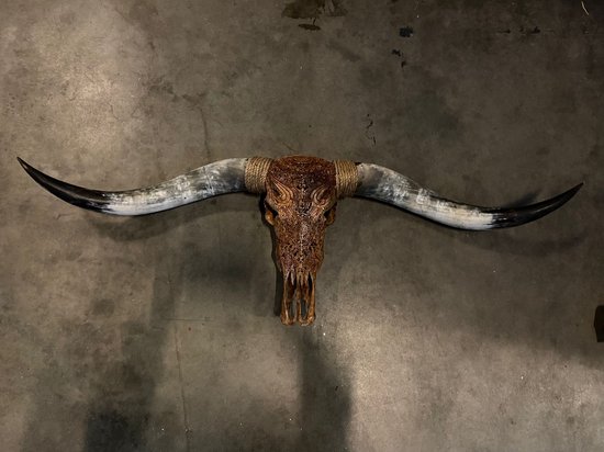Longhoorn - Skull - Longhorn - Dierenschedel - Skulls - Dierenschedels - Buffelschedel - 145 cm