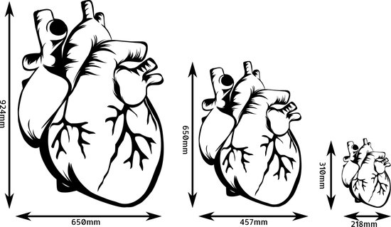Décoration murale coeur humain mdf noir 457x650mm