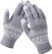 Handschoenen - Winter handschoenen - Dames handschoenen - Heren handschoenen - Wanten Touchscreen - Grijs
