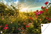 Tuinposter Rode Bloem - 120cm x 80cm - tuin