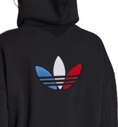 adidas Originals Hoodie Sweat Vrouwen Zwarte DE44/FR46