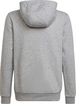 adidas Performance B Bos Hd Sweatshirt Kinderen Grijs 15/16 jaar oud