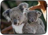Laptophoes 13 inch - Koala's - Vader - Kind - Kinderen - Jongens - Meisjes - Laptop sleeve - Binnenmaat 32x22,5 cm - Zwarte achterkant