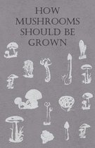 How Mushrooms Should Be Grown
