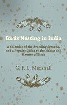 Birds Nesting In India