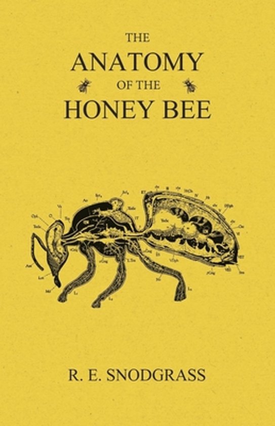 The Anatomy of the Honey Bee - cover